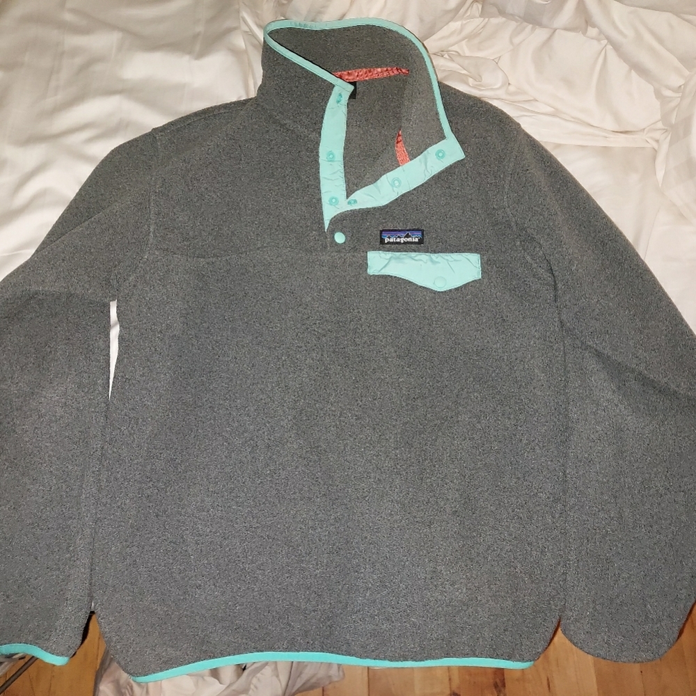 Patagonia Synchilla Pullover fleece